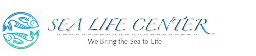Sea Life Center : We Bring the Sea to Life